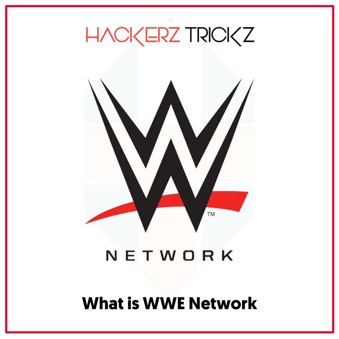 What is WWE Network